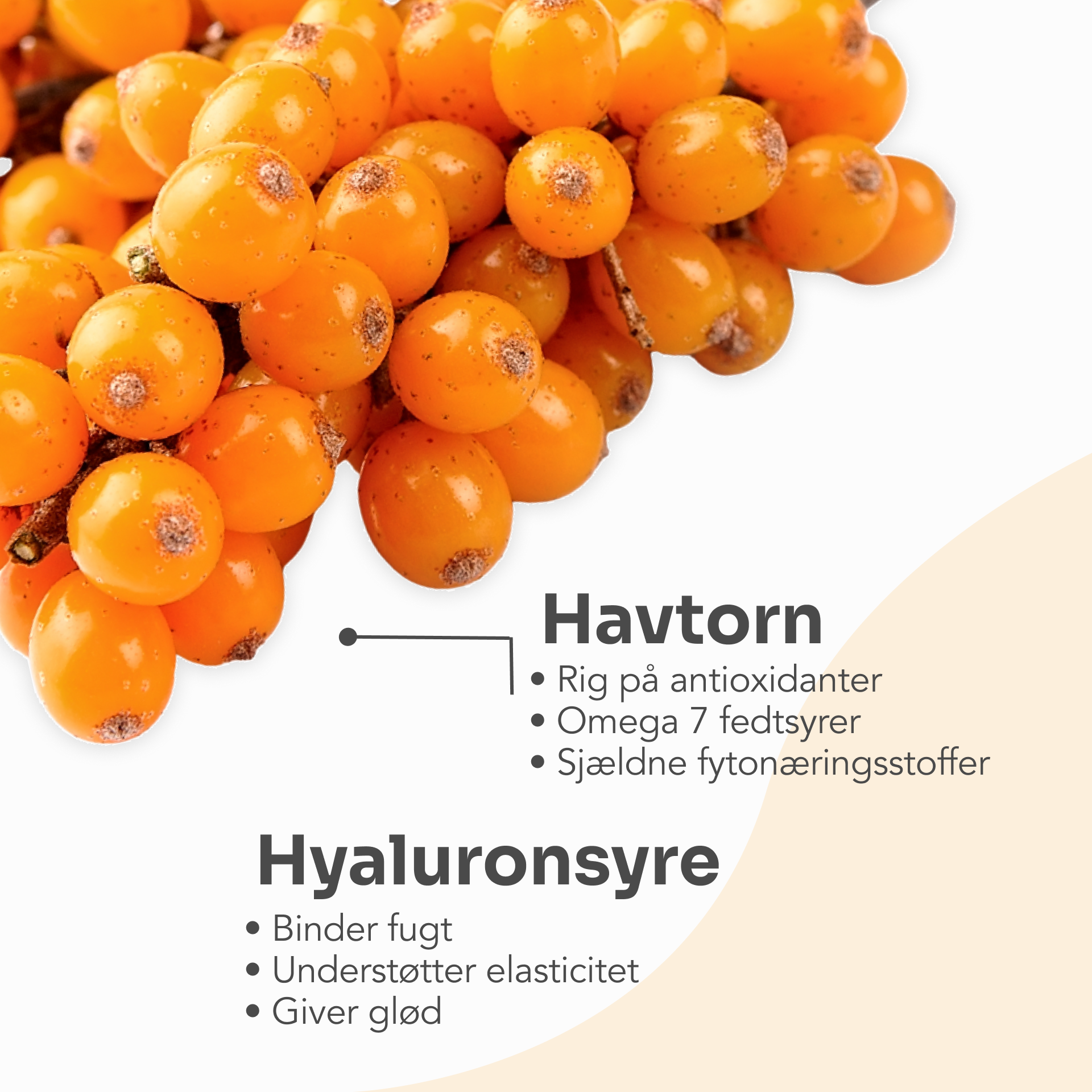 Dr. Stine Collagen with Sea Buckthorn supplement